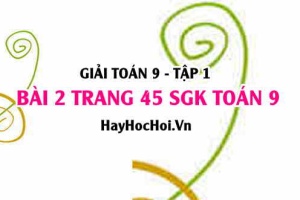 Giải bài 2 trang 45 SGK Toán 9 tập 1